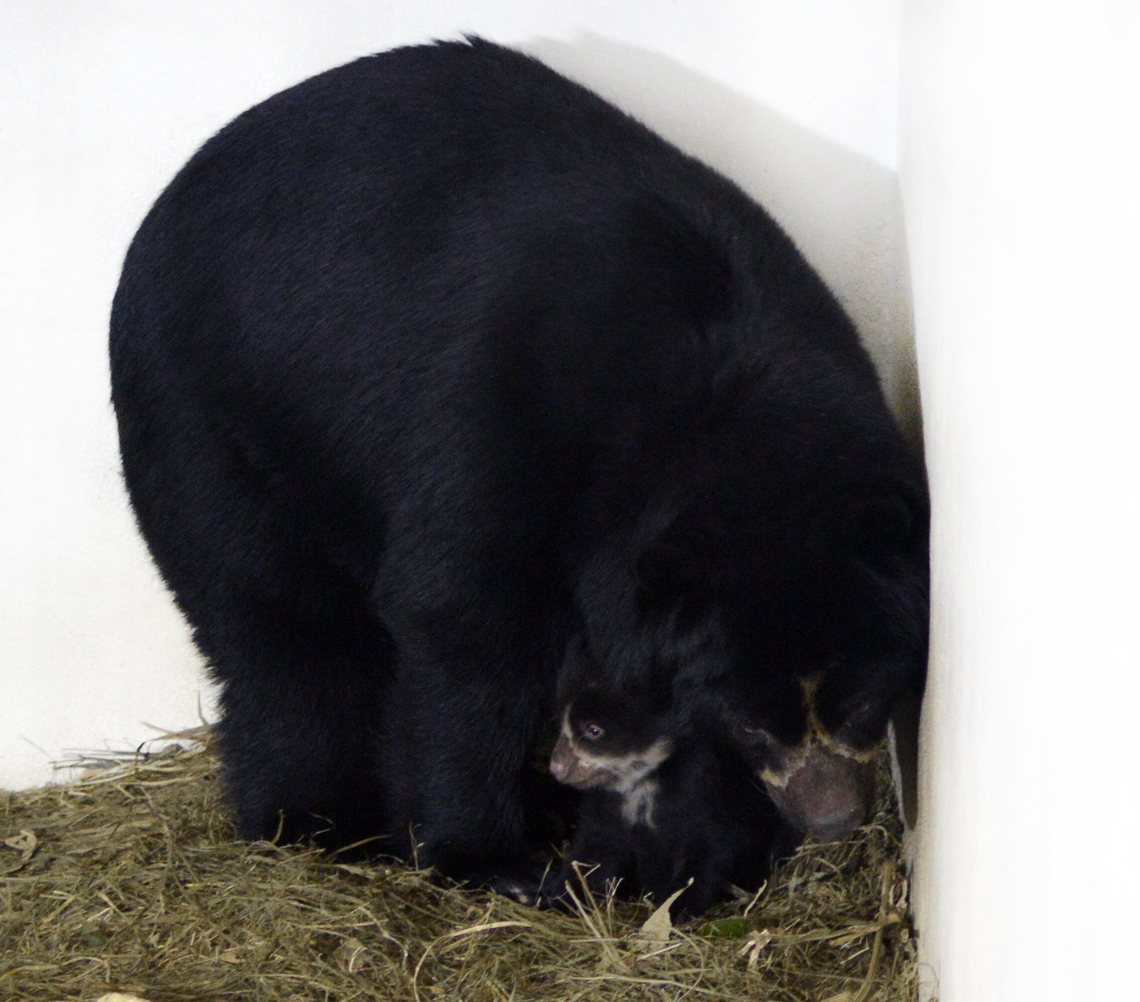 Parque de la Conservación