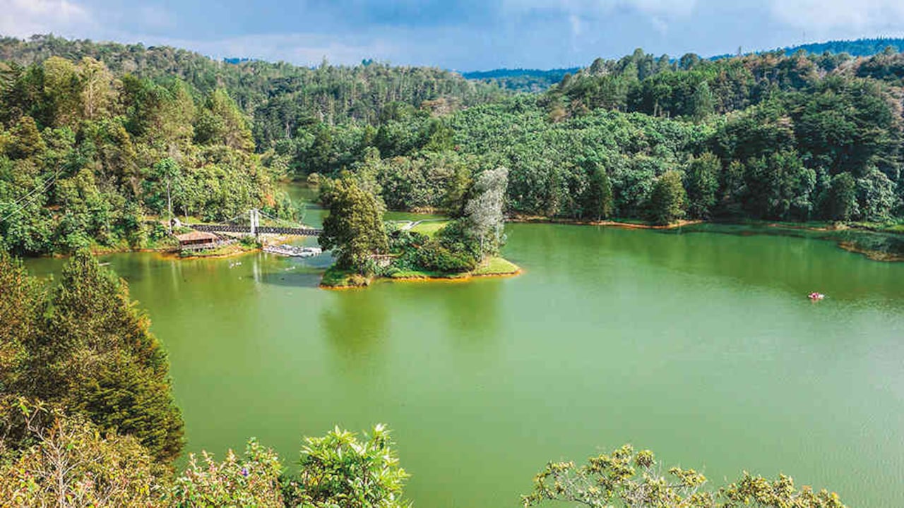 El territorio donde hoy queda el Parque Ecoturístico Arví fue de gran importancia para los indígenas que habitaban y comercializaban entre los valles de Aburrá y San Nicolás. Foto: Archivo particular