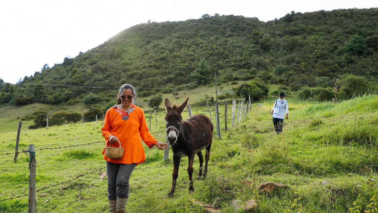 María Lilia Jiménez Ríos, una mujer luchadora que es conocida como la “guardiana de semillas” y su hija Yadira Jiménez creadora del Museo Campesino en la vereda San José, de Gachancipá Cundinamarca
emprendedora emprendimiento turismo mujeres campesinas agricultura
Sept 24 del 2020
Foto Guillermo Torres Reina / Dinero