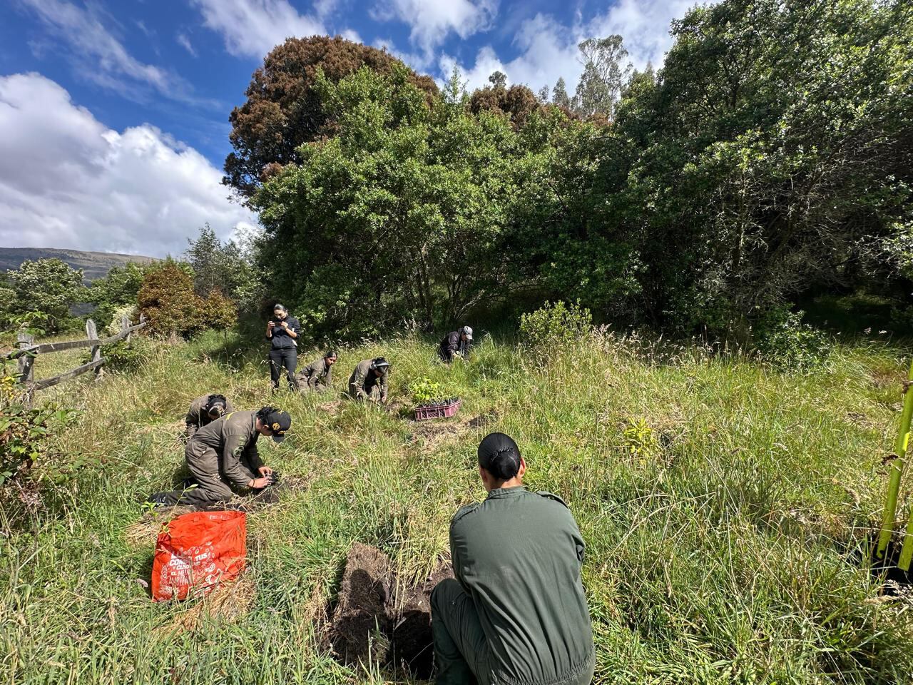 Así fue la siembra de árboles.
