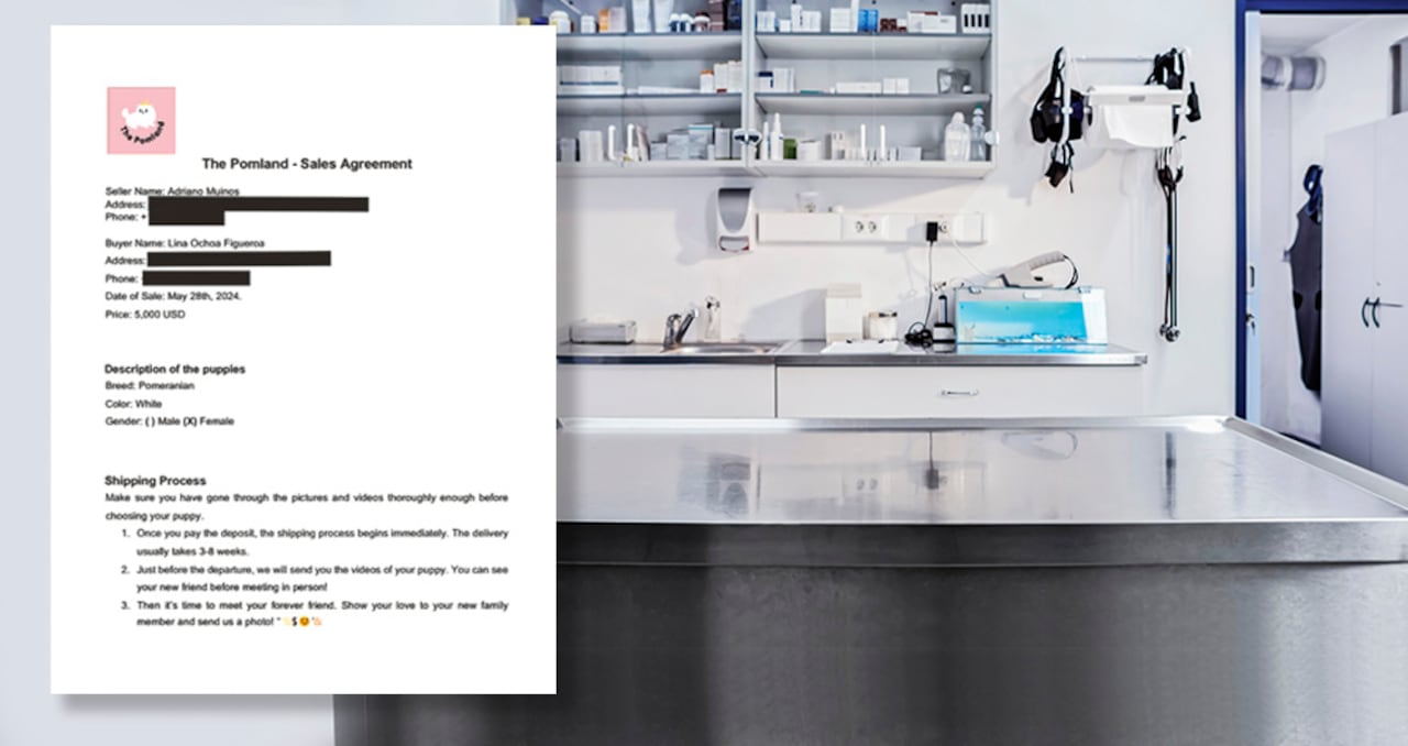 Este es un extracto del reporte de la necropsia realizada a Mua. Con este y otros documentos, los dueños esperan que el proceso avance en la Fiscalía.