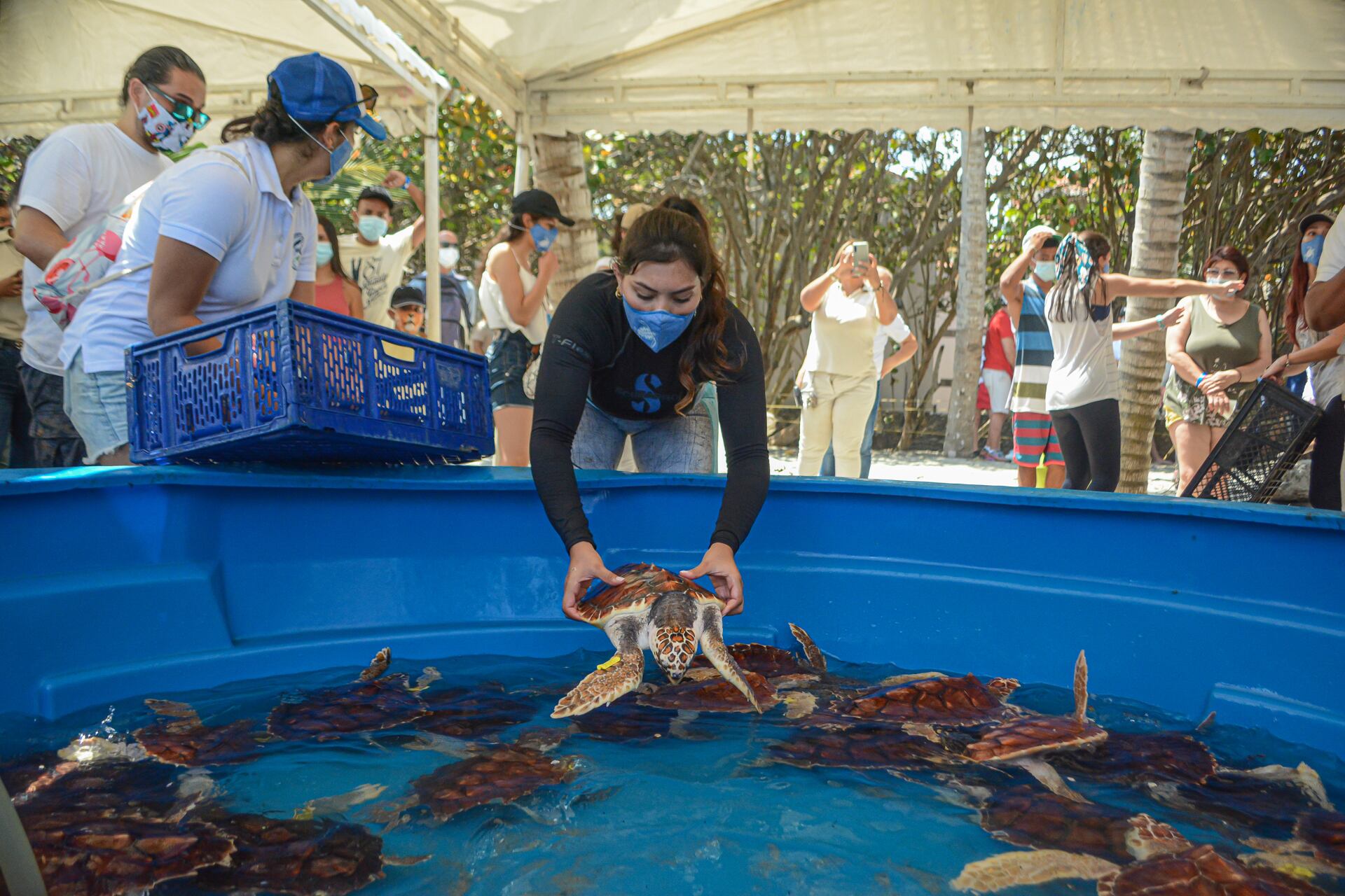La Universidad Jorge Tadeo Lozano tiene cuatro programas focalizados por completo en la Colombia que es 50% mar.