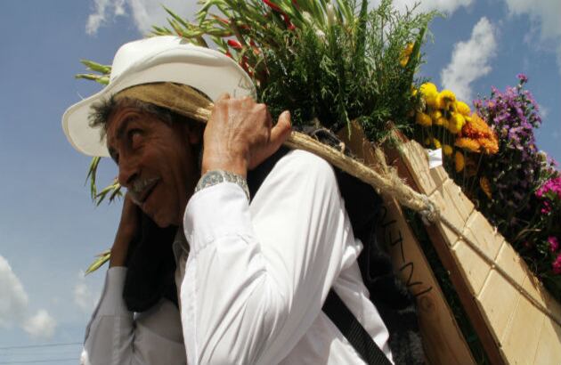 Más de 500 silletas pudieron verse en esta versión del desfile.