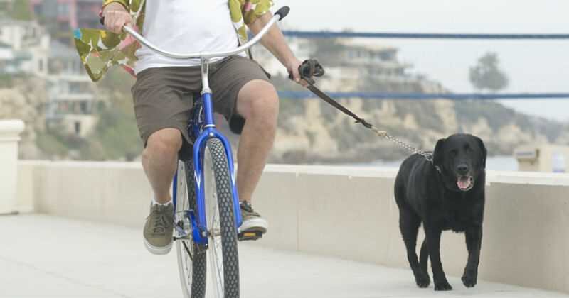 El ciclismo requiere de una buena hidratación para mantener la musculatura en perfectas condiciones y evitar posibles lesiones o bajadas de rendimiento.