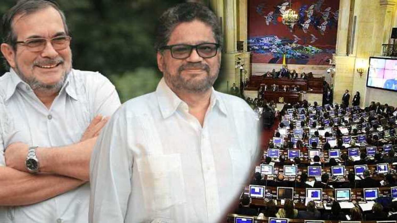 El proyecto consagra que tanto el Gobierno como las FARC podrán acudir a instituciones o personas de la vida nacional o internacional para llevar a cabo la verificación.