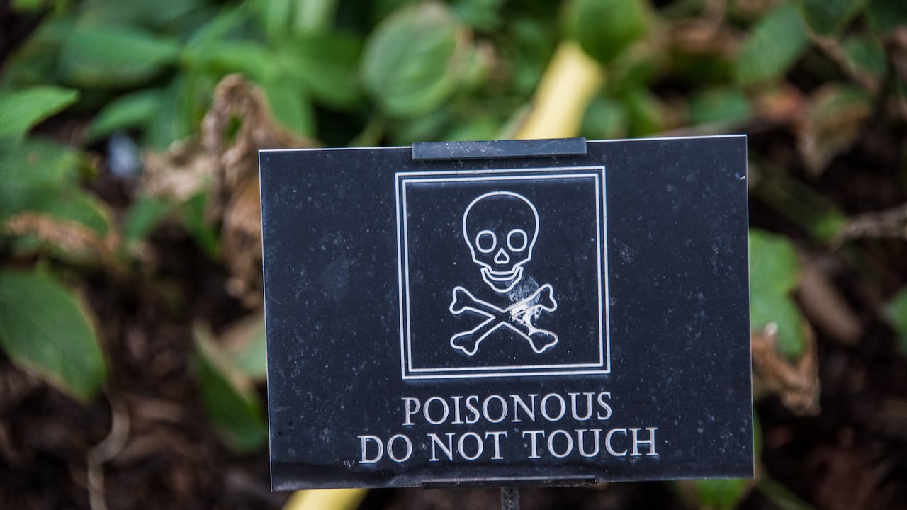 El jardín que esconde más de 100 plantas venenosas.