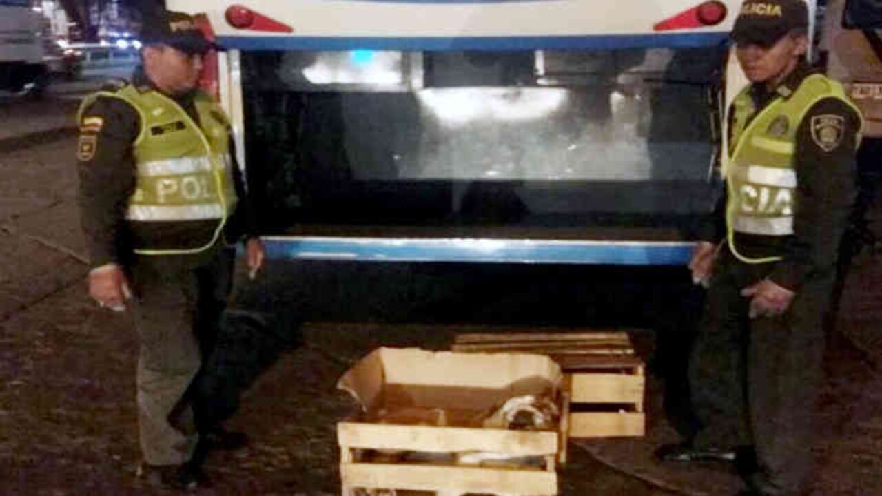 Facebook de Pao LizLazoo