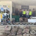 Duro golpe contra del tráfico ilegal de fauna silvestre: 675 especies fueron rescatadas antes de ser vendidas; se conocieron detalles de la operación