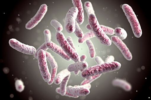 Klebsiella