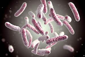 Su actividad, que puede generar neumonía, sepsis u otros tipos de infecciones, se ha cobrado vidas humanas tanto a nivel nacional como internacional.