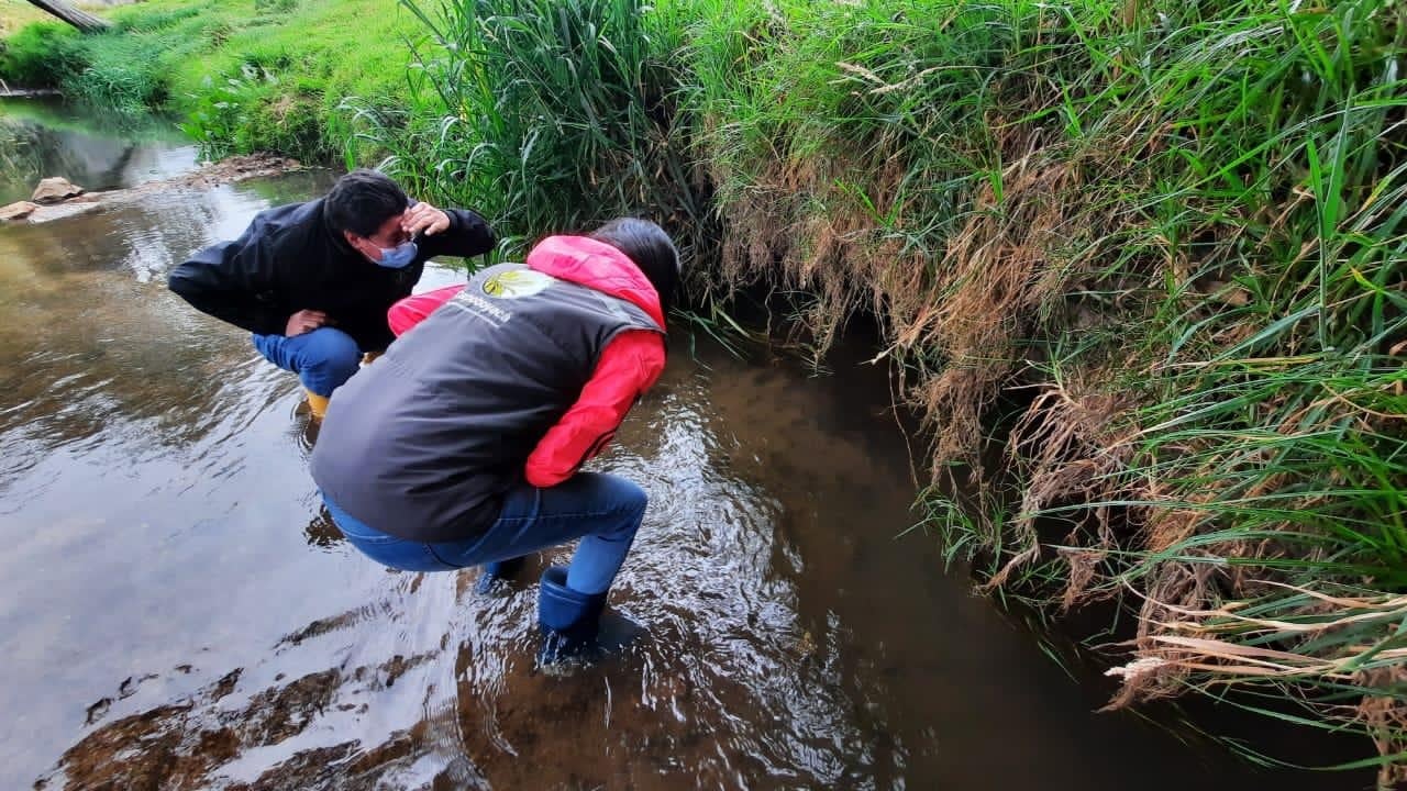 Monitoreo y búsqueda del cangrejo rojo en Boyacá