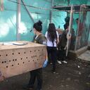 Cali: Se llevó a cabo el traslado de 105 animales de tres especies distintas desde el Hogar de paso de Cali hasta Cartagena, lugar de hábitat de ellos. Foto José L Guzmán. El País