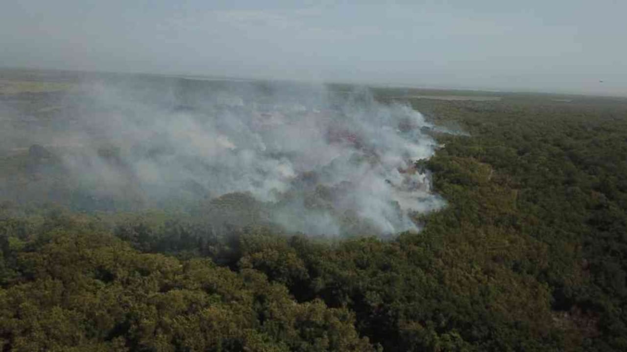 Las grandes columnas de humo que se vienen registrando por cuenta del incendioya afectan la calidad del aire de Barranquilla. Foto: Parques Nacionales Naturales.
