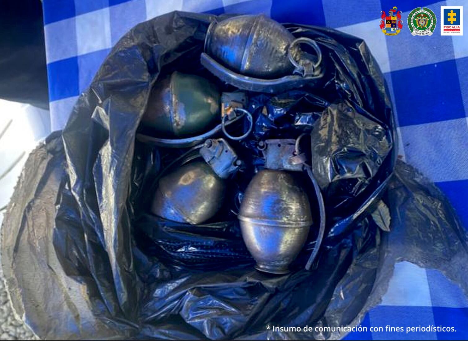 Estas son las cuatro granadas halladas en su poder.