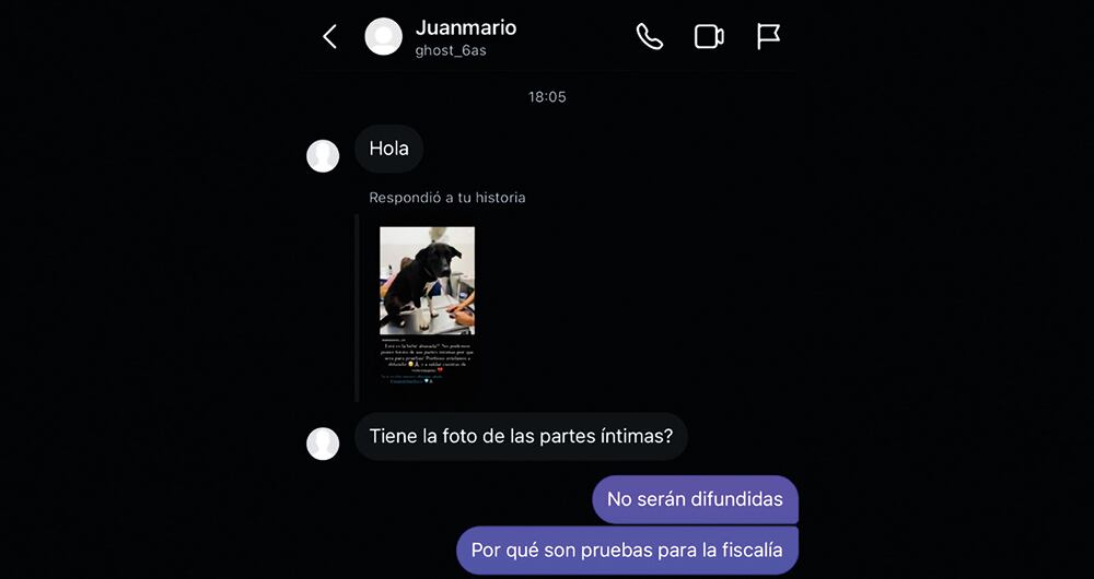 Cuando publicaron a Lola en redes sociales para su adopción, algunas personas escribieron con morbo.