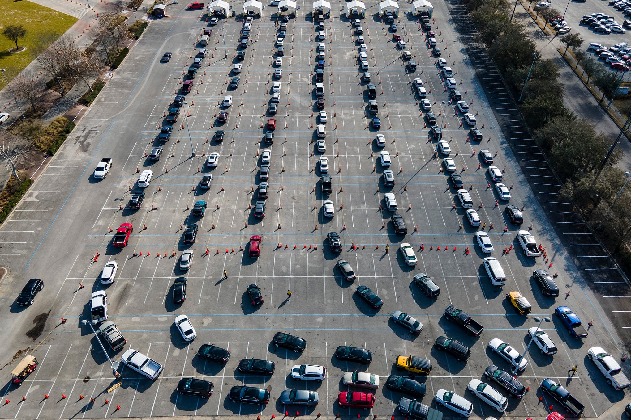 Fotos de la semana 26 feb