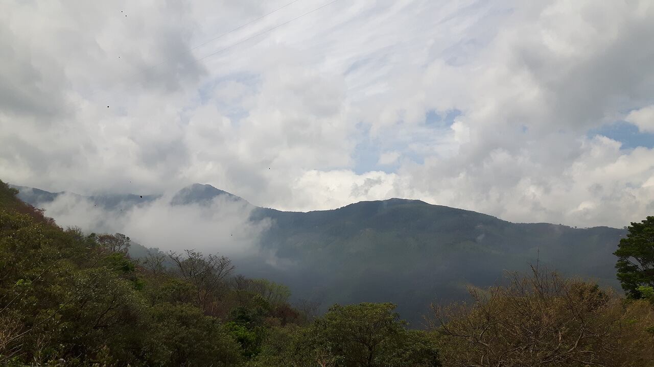 Serranía del Perijá