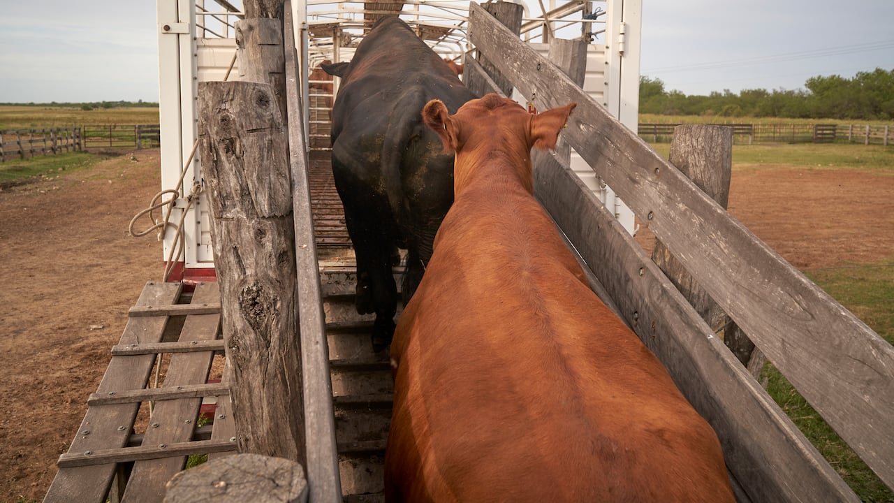 Estados Unidos fue el principal origen de las importaciones de leche y derivados, con 29.675 toneladas.
