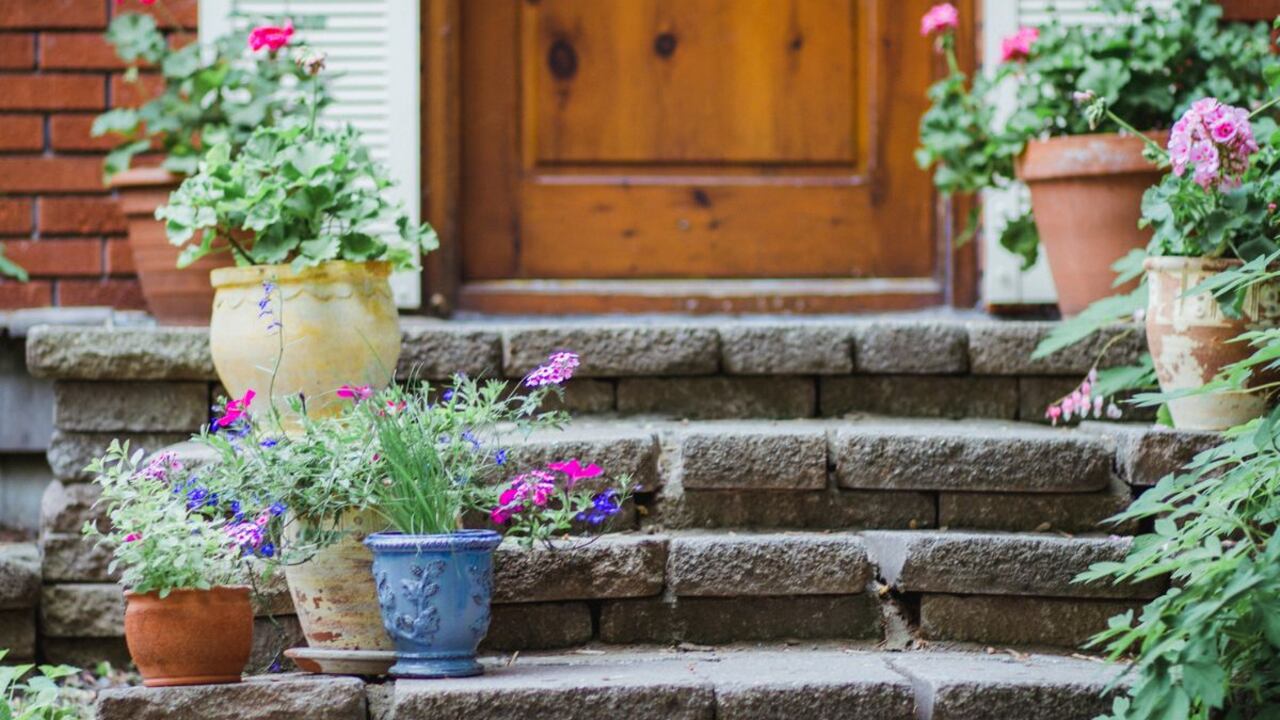 Plantas que ayudan a atraer dinero.