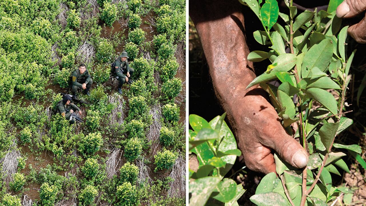 El narcotráfico fue uno de los mayores combustibles para financiar los crímenes de la guerrilla. Los frentes desarrollaban actividades regionales para ajustar sus cuentas.