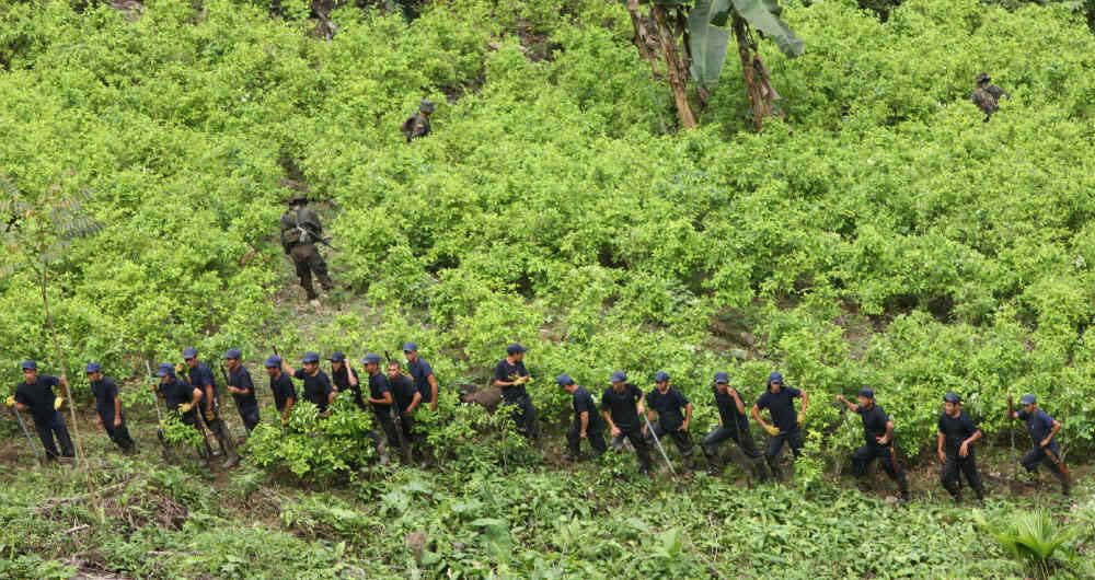 El presidente Petro sugirió que más allá de los cultivos ilícitos hay nuevas drogas que preocupan a ese país.