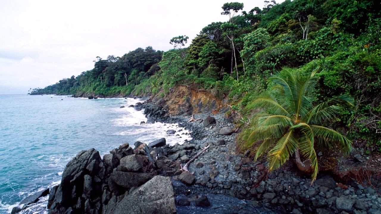 El director de Parques Nacionales Naturales de Colombia, Luis Olmedo Martínez Zamora, aseguró que se trata de una apuesta muy importante en el camino por valorar y conservar nuestra riqueza natural.