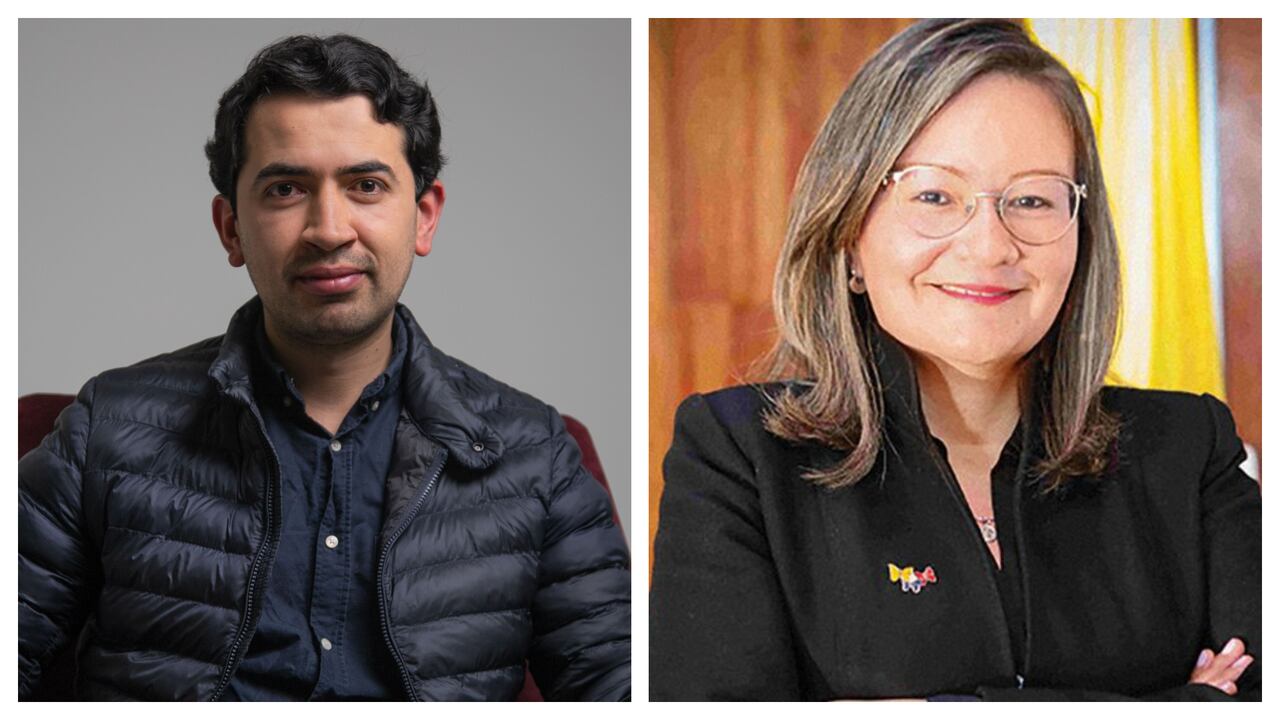 Daniel Briceño cuestionó a Cielo Rusinque por sus posiciones cuando estaba en el DPS.