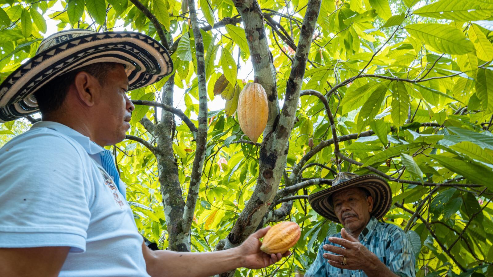Especial Empresas que construyen país, ISA