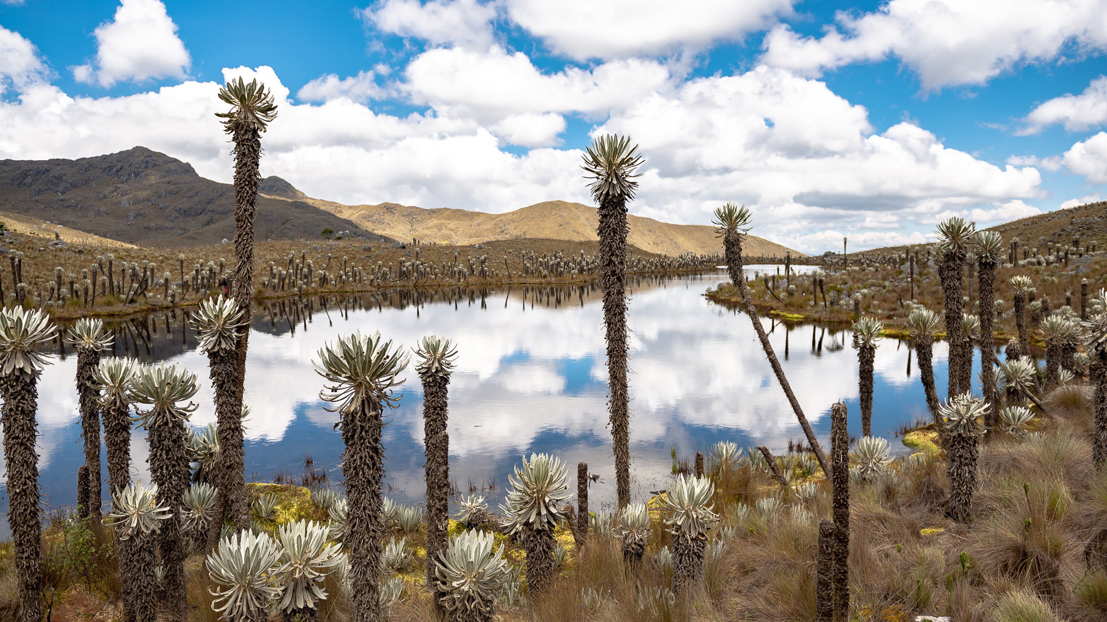 Sostenibilidad, en el ADN de Bavaria