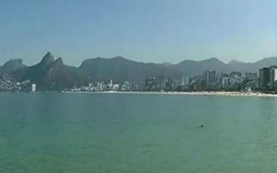 Los pingüinos de Ipanema