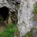 La cueva de Denisova sigue revelando sus secretos: ahora los restos óseos de un antiguo mamífero emparentado con el yak,