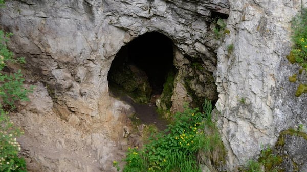 La cueva de Denisova sigue revelando sus secretos: ahora los restos óseos de un antiguo mamífero emparentado con el yak,