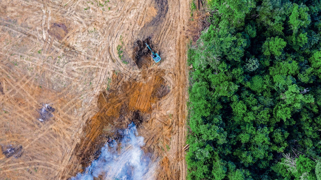 La deforestación sigue siendo impulsada por la apropiación de tierras y el lavado de activos. Si eso no cambia seguiremos viendo fluctuaciones.
