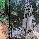 En este punto se encontraron los restos de la aeronave y los cuerpos de los tres adultos que viajaban en ella. Los cuatro niños, según señalan rescatistas, habrían salido con vida del siniestro. Las labores de búsqueda se concentran en la zona cerca al río Apaporis, ubicada en la espesa selva del Guaviare.