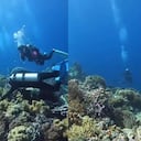 Los buzos nadaban tranquilamente cuando sucedió el terremoto