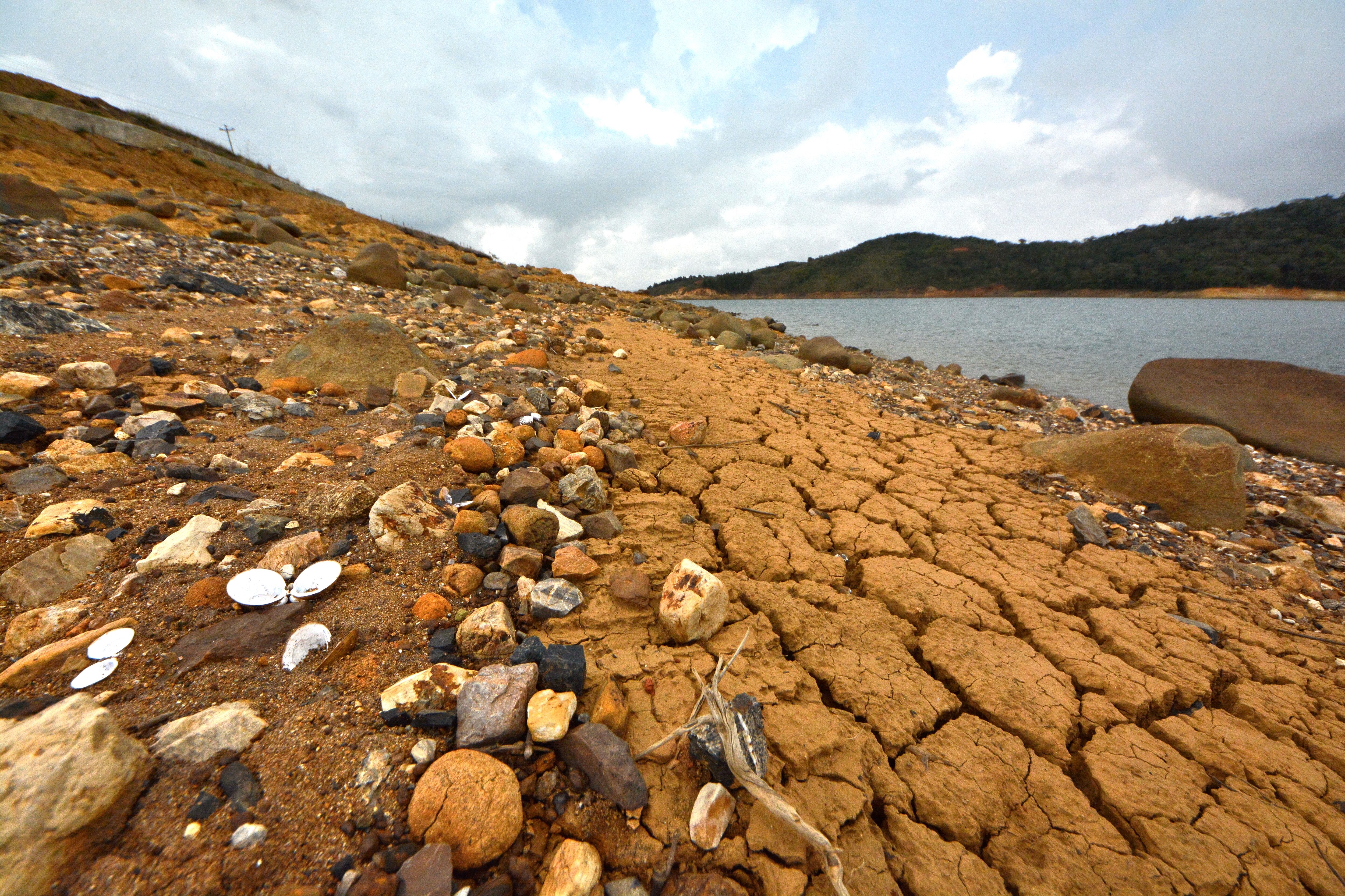 El fenómeno del Niño no solo ha cambiado la intensidad de los fenómenos meteorológicos, sino que también ha cambiado los paisajes naturales, como pasa con el Lago Calima en el Valle del Cauca. En las orillas de este gran lago artificial, se nota la disminución en el nivel de sus aguas