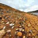 El fenómeno del Niño no solo ha cambiado la intensidad de los fenómenos meteorológicos, sino que también ha cambiado los paisajes naturales, como pasa con el Lago Calima en el Valle del Cauca. En las orillas de este gran lago artificial, se nota la disminución en el nivel de sus aguas