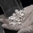 Gobierno no recomienda la Ivermectina como tratamiento para la covid-19.