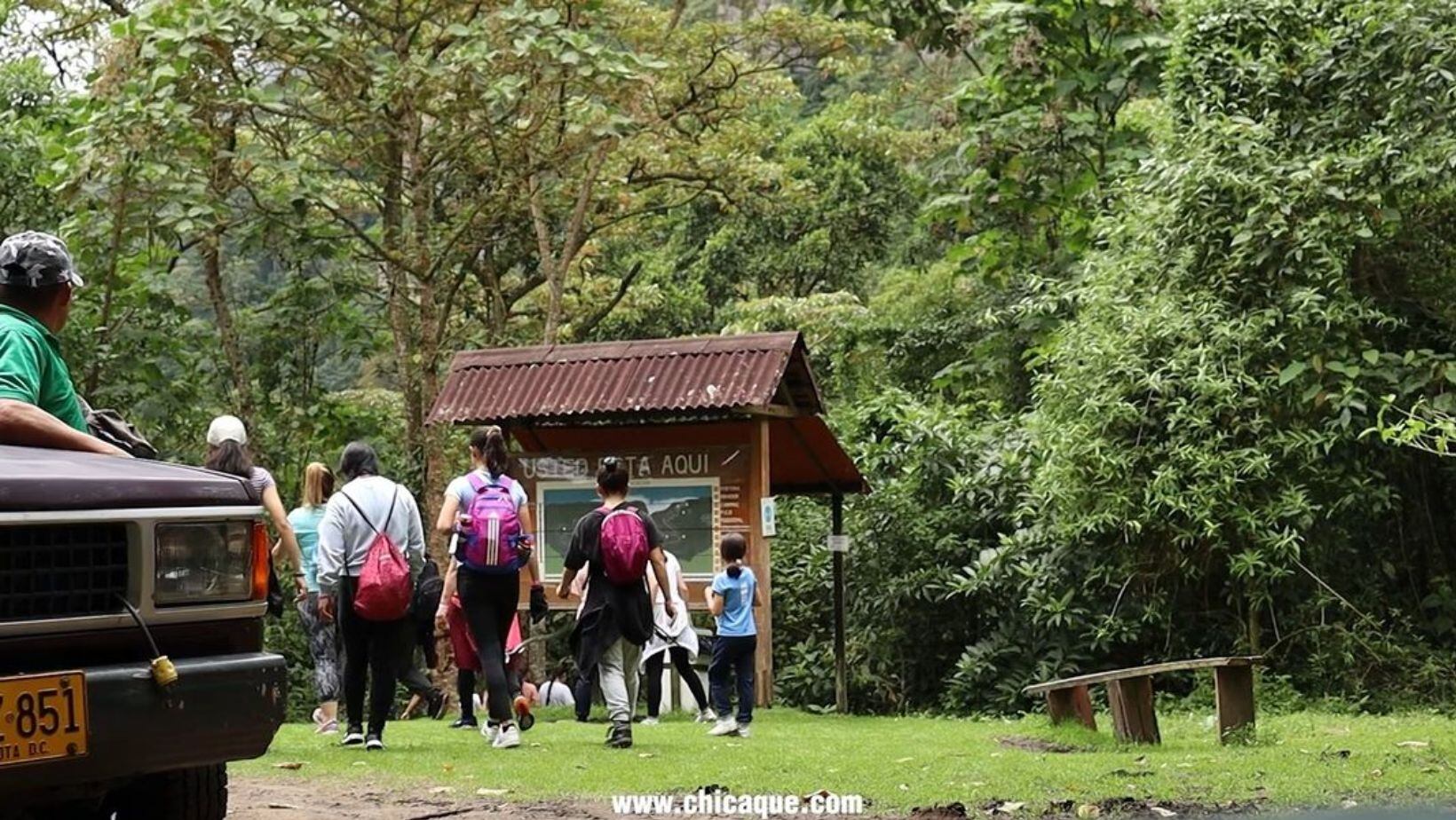 ¿Cómo llegar al Parque Natural Chicaque, cuánto cuesta ir y qué planes hacer?