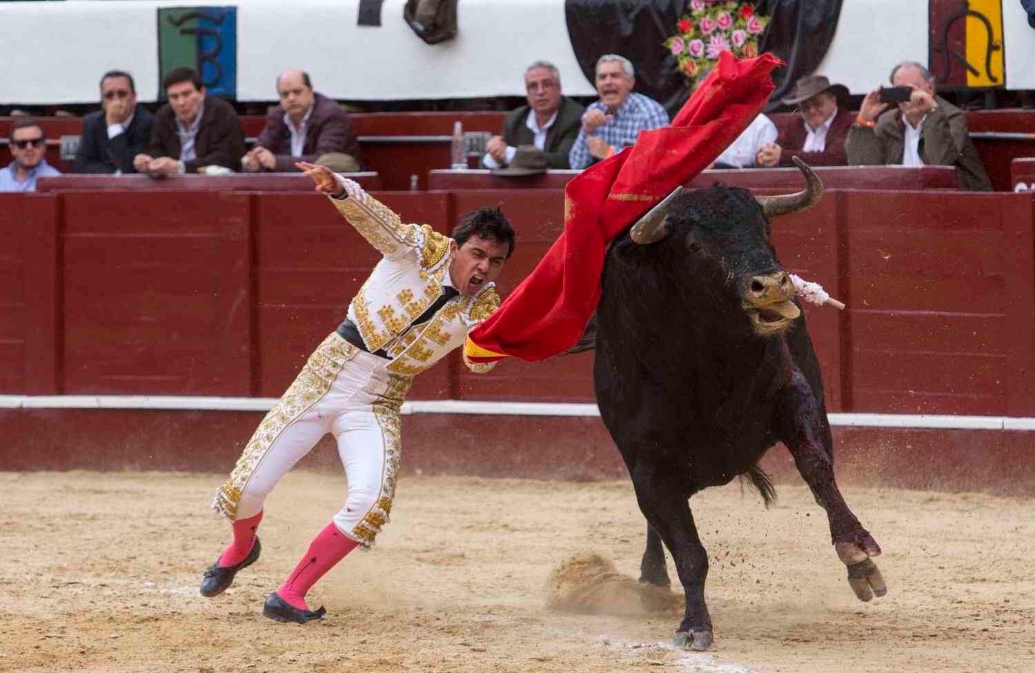 Foto: Juan Carlos Sierra