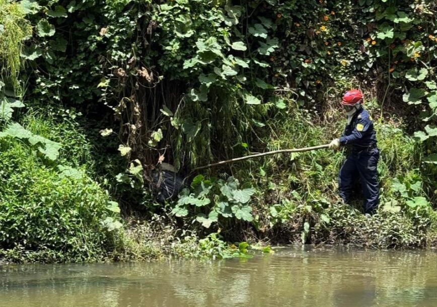 Búsqueda de Valeria Afanador