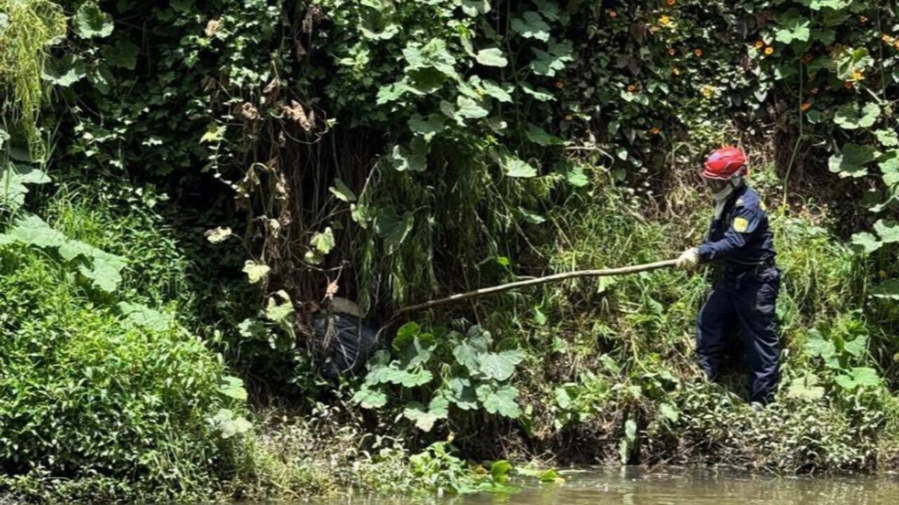 La imagen en cuestión sí hace parte del proceso de búsqueda de Valeria Afanador, más no significa que sean los restos humanos que se mencionan en esta nota.