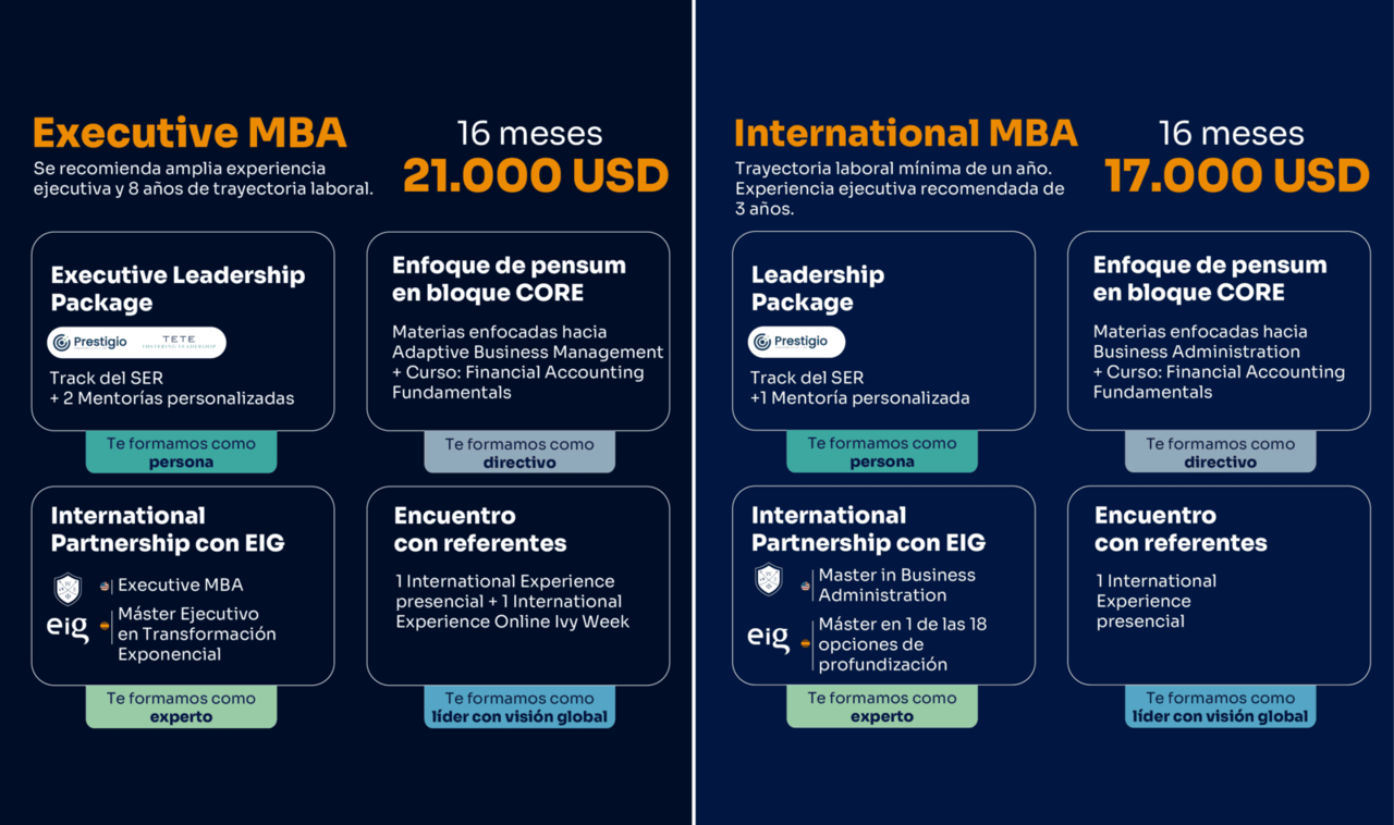 Programas ofertados por UN Tourism y Westfield.