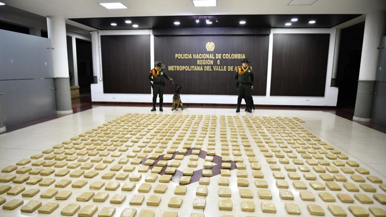 Los caninos Pirata y Moscú fueron los protagonistas de este operativo.