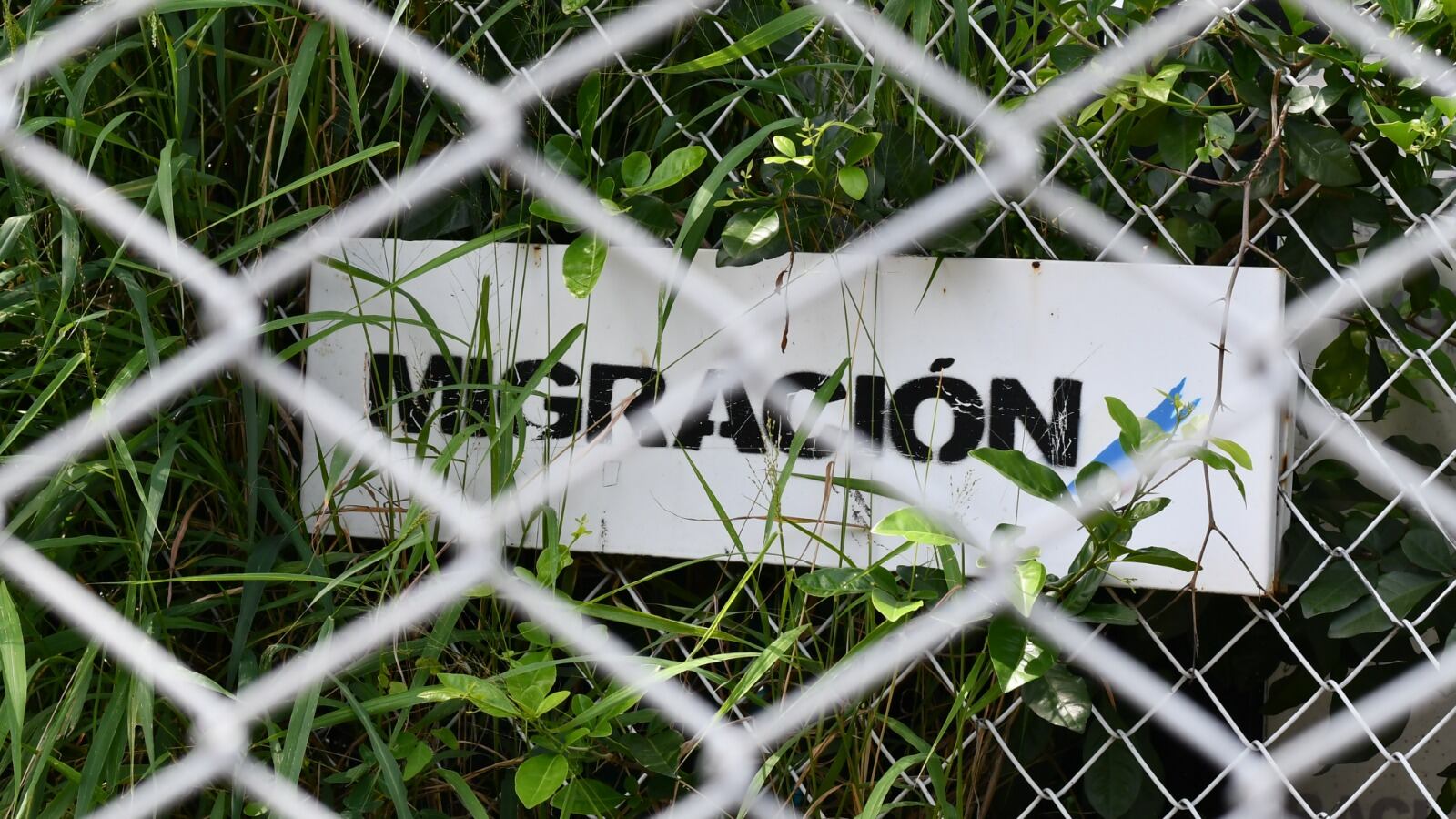 Todos somos migrantes, Museo Nacional