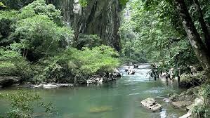 Los jóvenes realizaban actividades de kayak y el body rafting.
