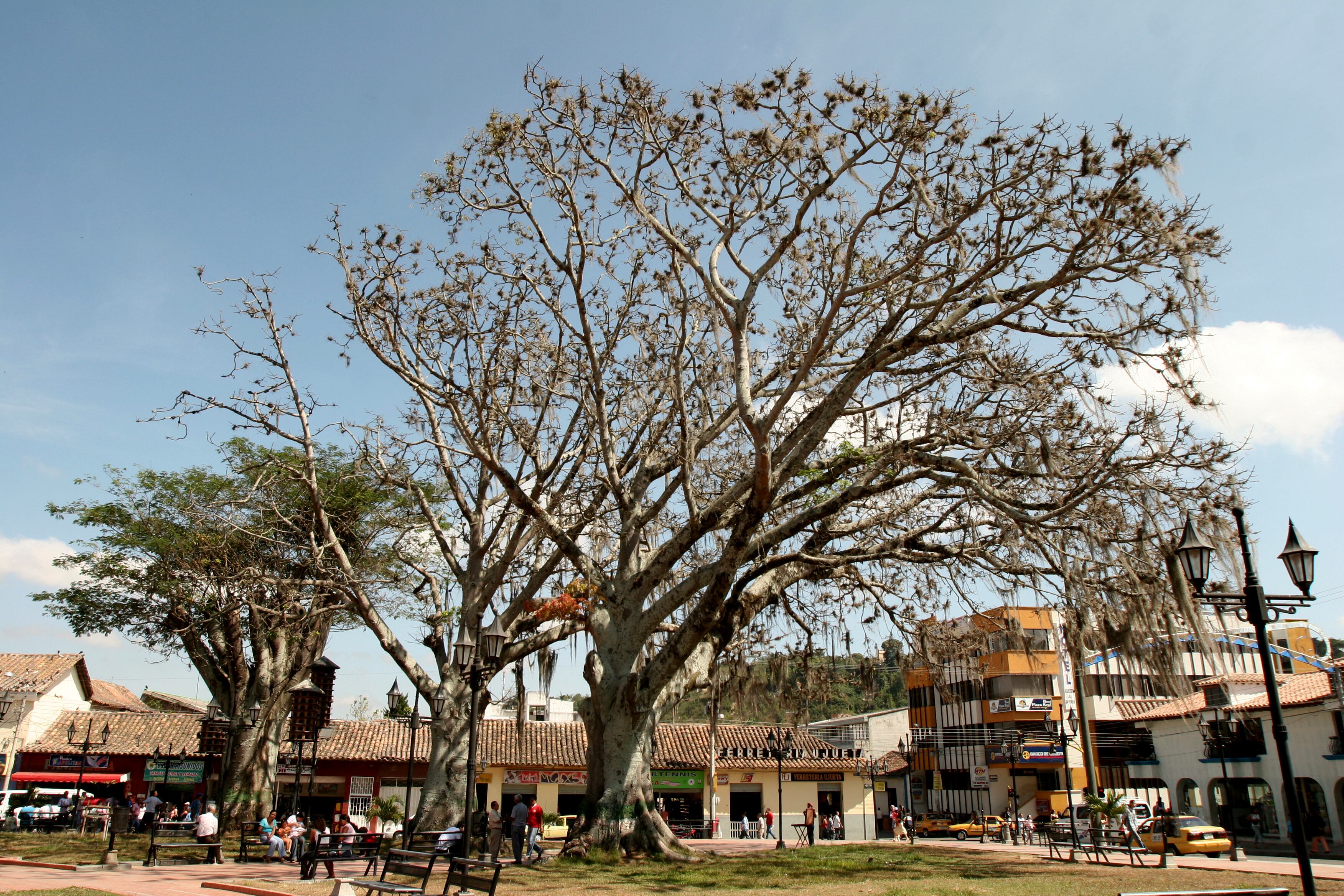 OCAÑA NORTE DE SANTANDER