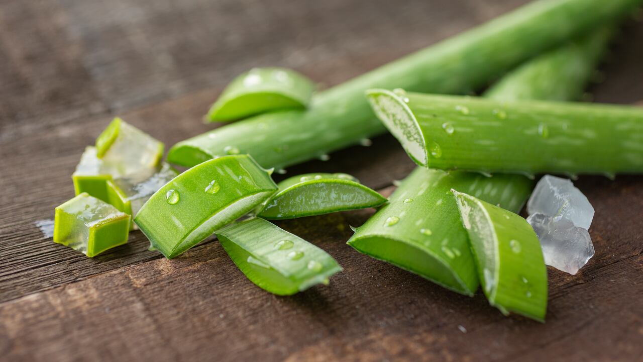 Aloe vera