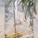 Este sábado 13 de noviembre se registraron fuertes lluvias en Antioquia, en donde varias familias se vieron afectadas. -Foto: fotograma video de Twitter @QuinteroCalle