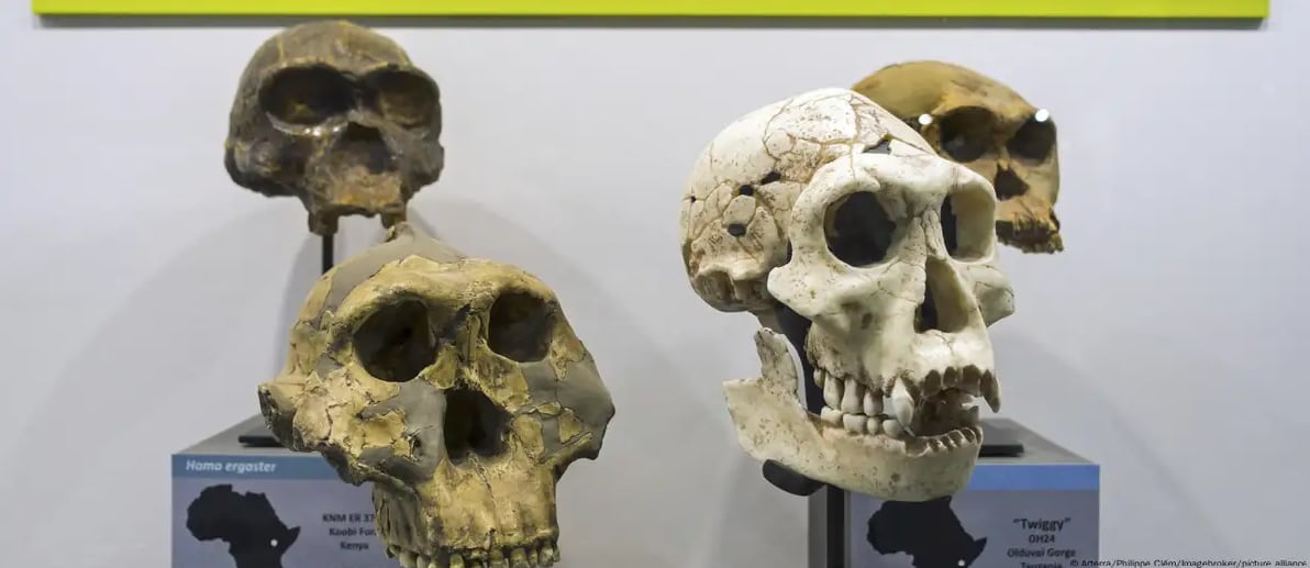 Científicos de Cambridge hallan pruebas de dos poblaciones en el origen del Homo sapiens.
